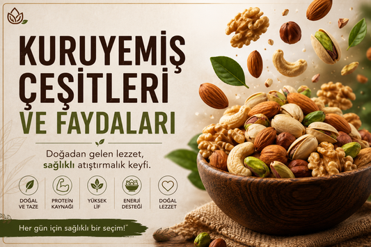 Kuruyemiş Çeşitleri ve Faydaları | Sağlıklı Atıştırmalık Rehberi