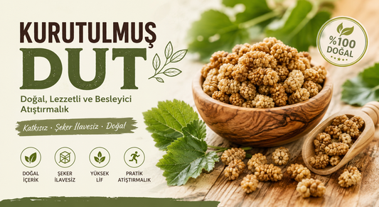 Kurutulmuş Dut Faydaları Nelerdir? Doğal ve Lezzetli Atıştırmalık Rehberi