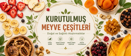 Kurutulmuş Meyve Çeşitleri Nelerdir? Doğal ve Sağlıklı Atıştırmalık Rehberi