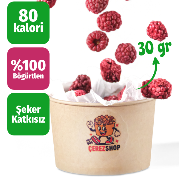 Freeze Dried Böğürtlen Meyve Cipsi