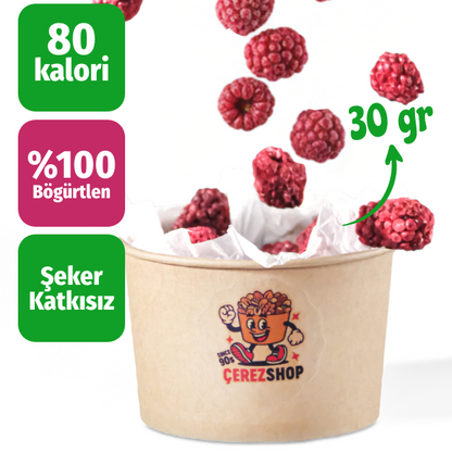 Freeze Dried Böğürtlen Meyve Cipsi
