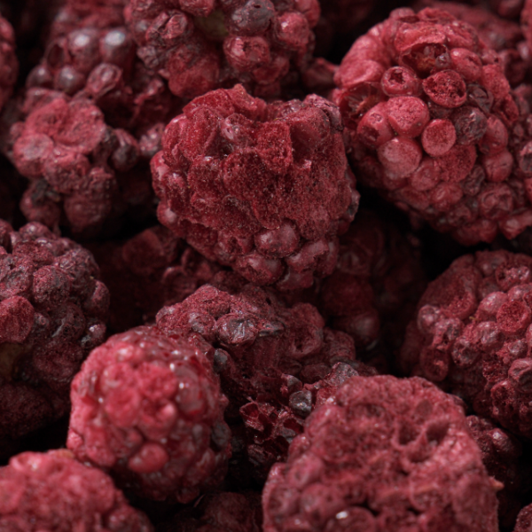 Freeze Dried Böğürtlen çıtır meyve cipsi yakın plan doğal ürün dokusu