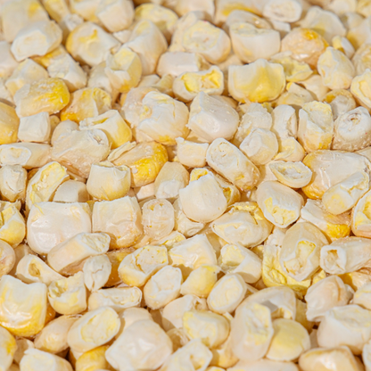 Freeze dried tane misir detay