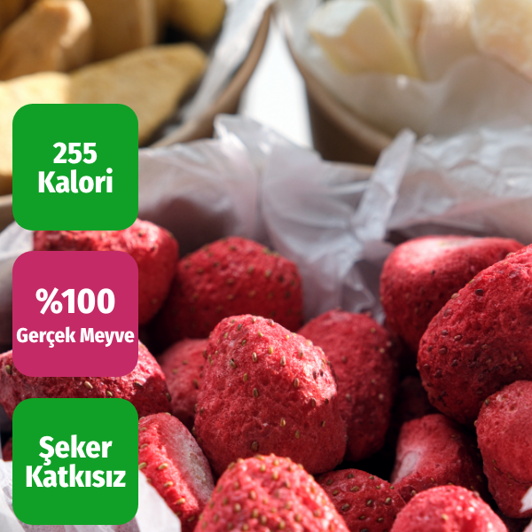 Besin Değeri Korunmuş Çıtır Çilek, Tropikal Mango ve Kavun Dilimleri - Isıl İşlem Görmemiş Vitamin Deposu Freeze Dried Meyve Karışımı.