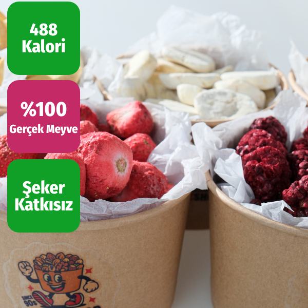 Freeze Dried Tadım Paketi 5'li - Çilek Mango Muz Kavun Böğürtlen Kuru Meyve Cipsi Seti
