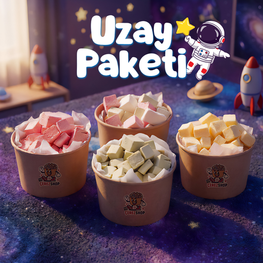 Freeze Dried Uzay Paketi Astronot Dondurma Seti Çilek Bisküvi Vanilya Antep